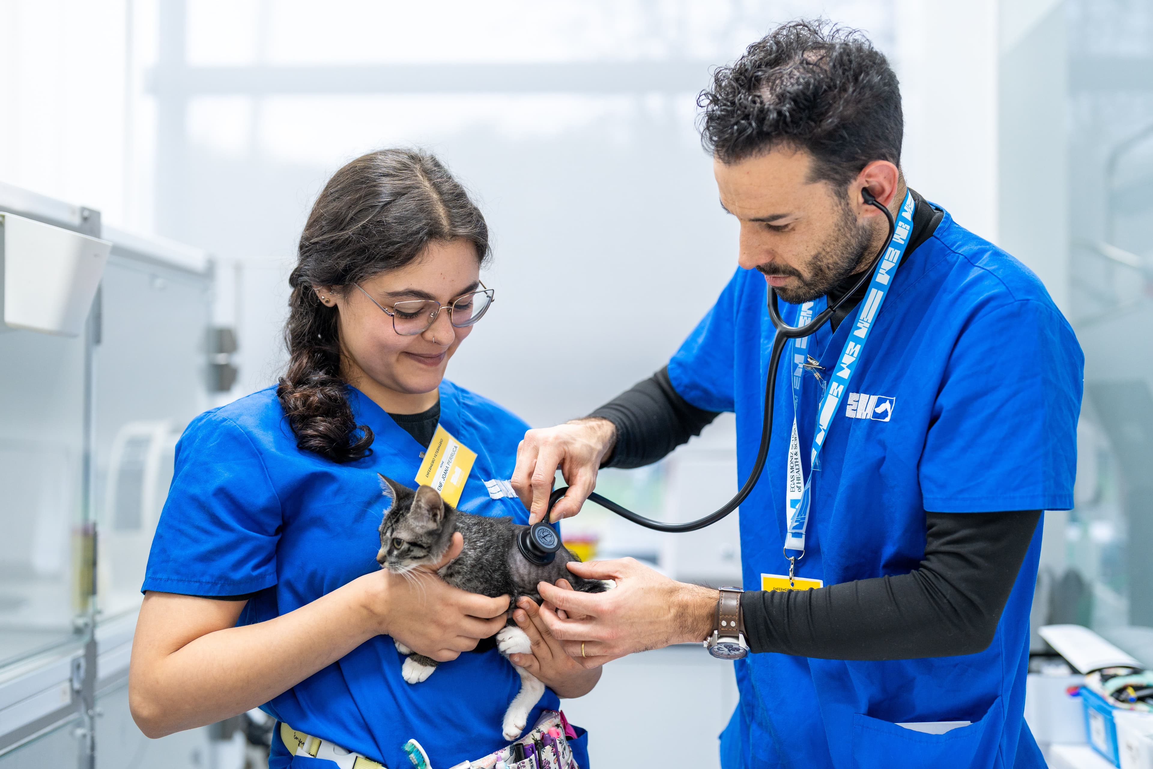 Medicina Veterinária Geral