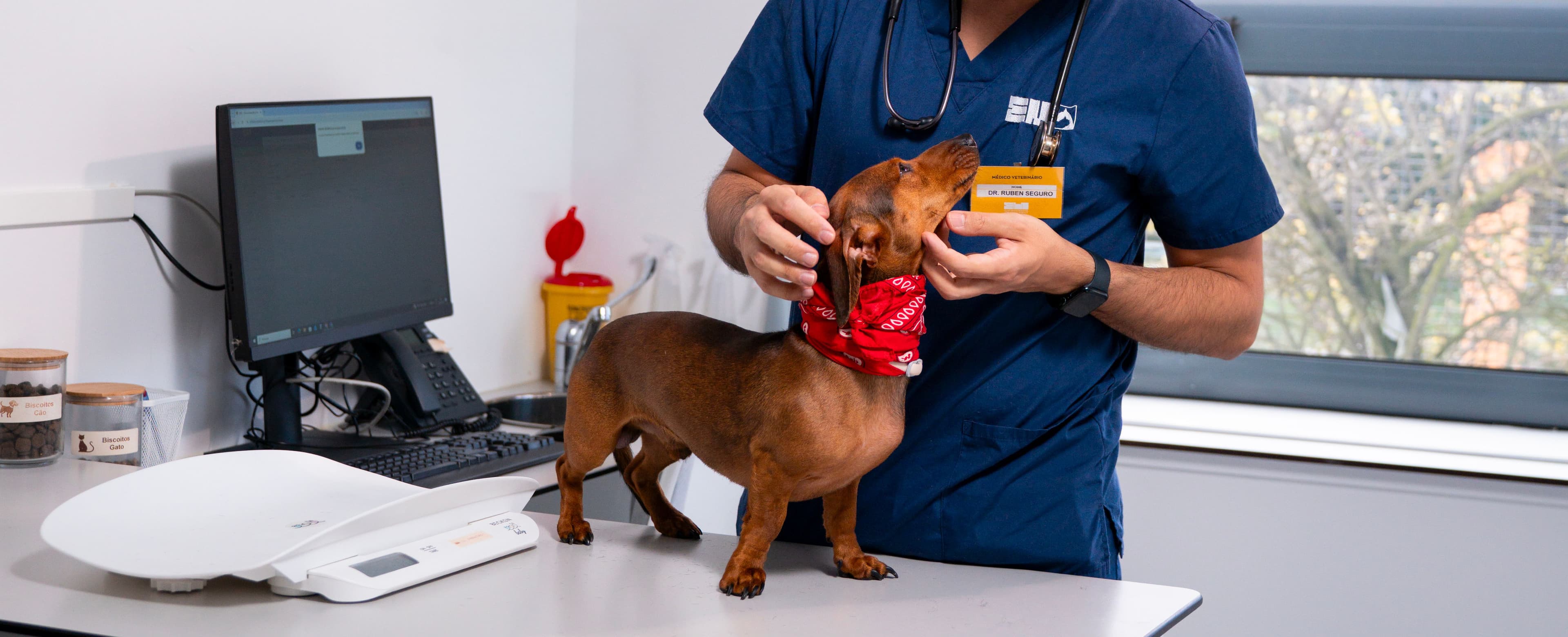 Hospital Veterinário Universitário Egas Moniz