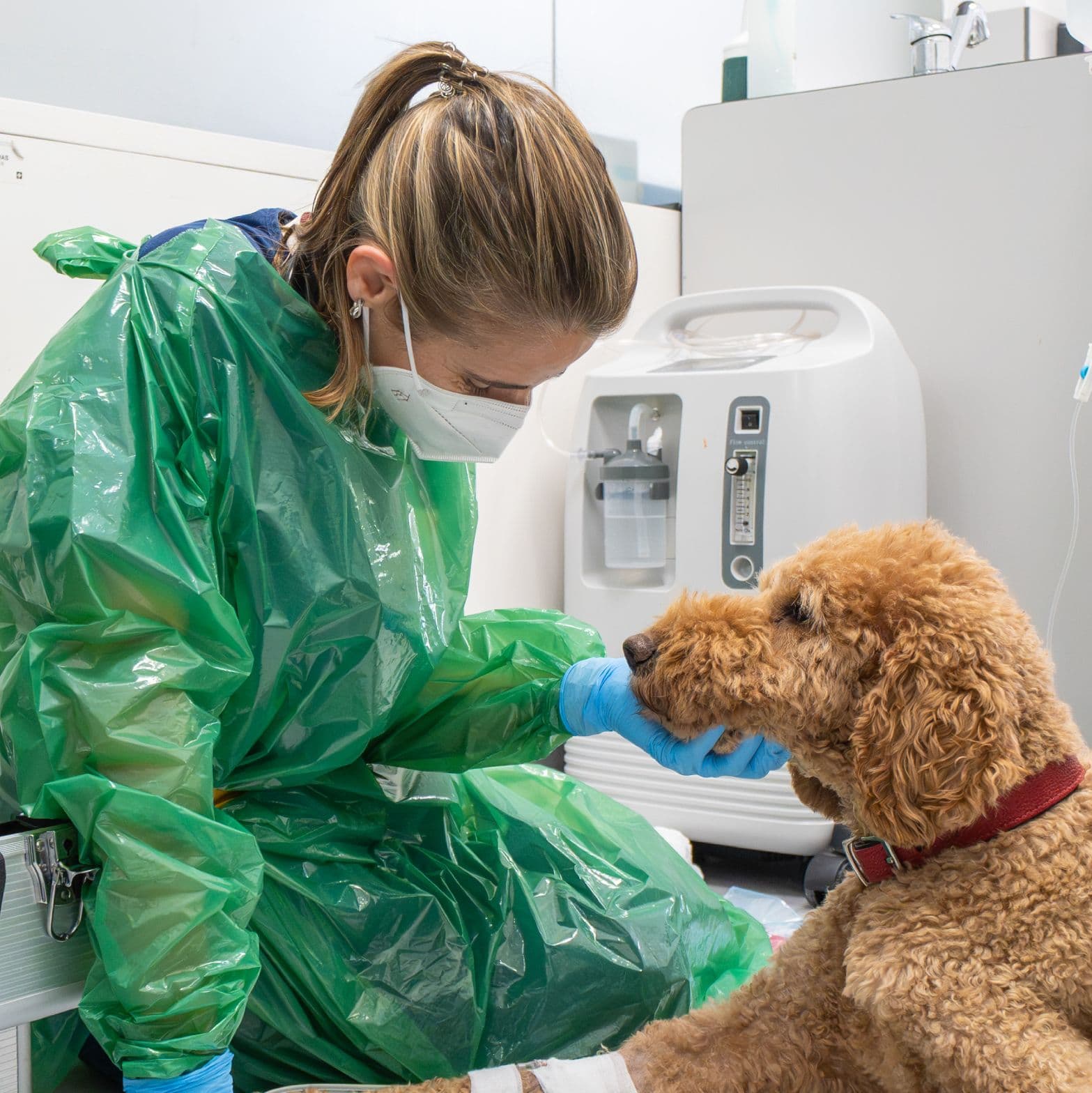 Serviço de urgência 24h