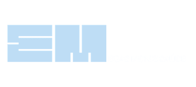 Egas Moniz