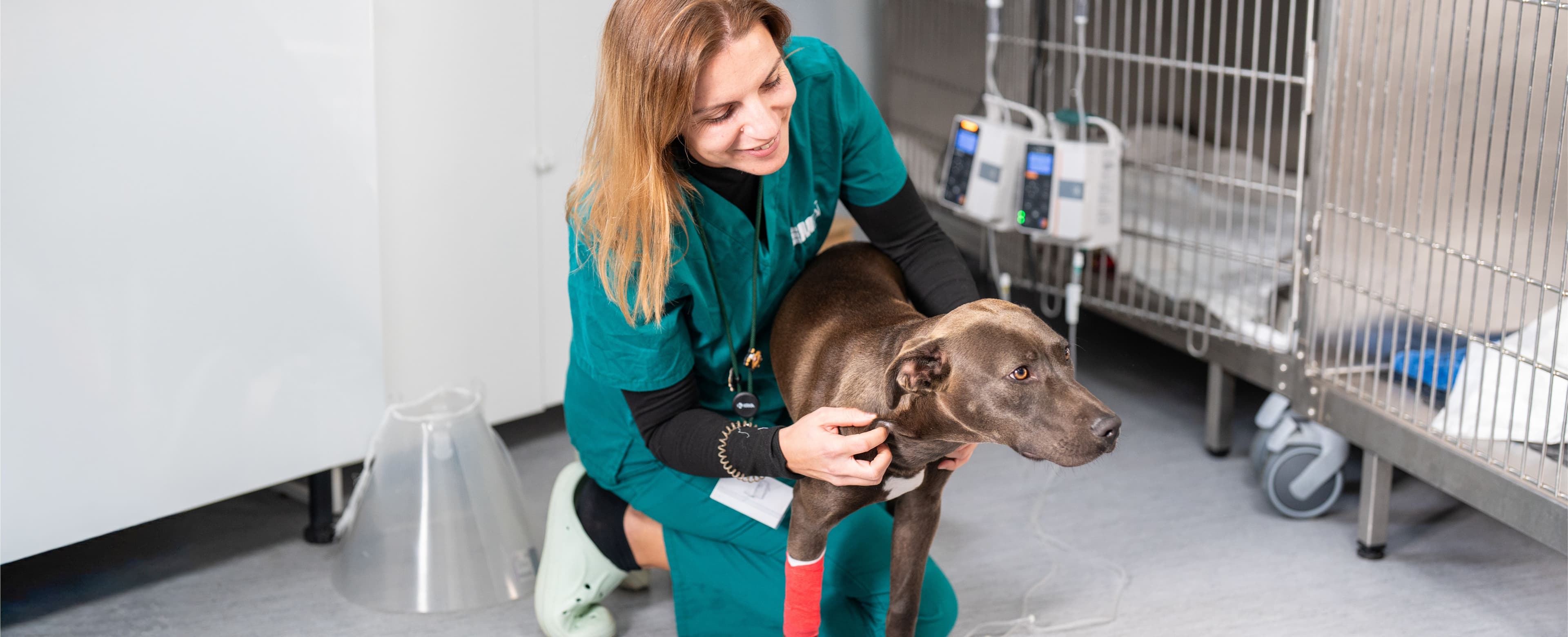 Consultas de especialidade