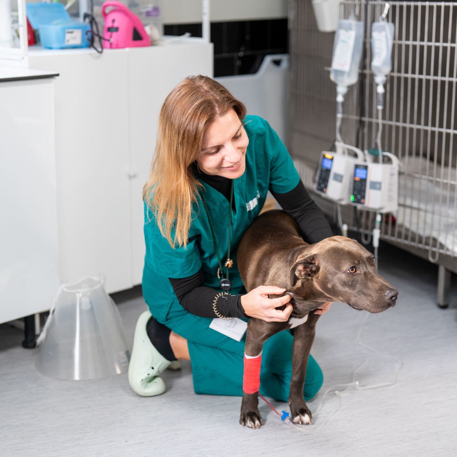 Consultas de especialidade